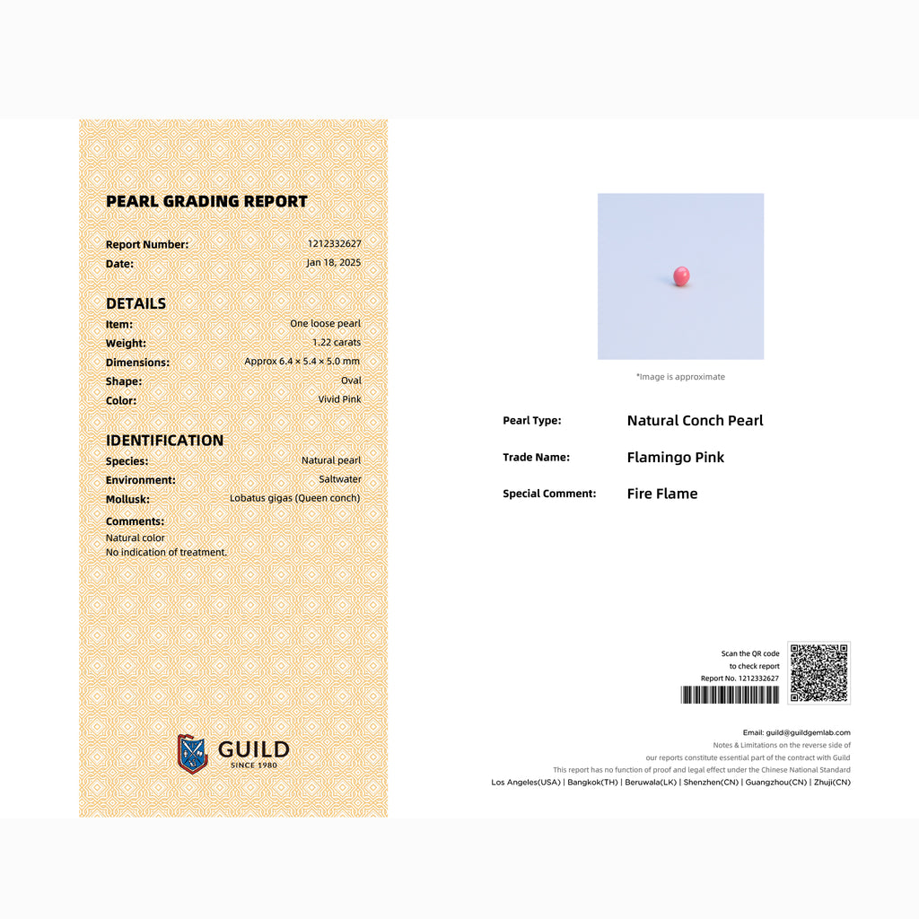 GUILD Pearl Grading Report certifying 1.22ct natural Flamingo Pink conch pearl, Fire Flame, Queen Conch origin, no indication of treatment