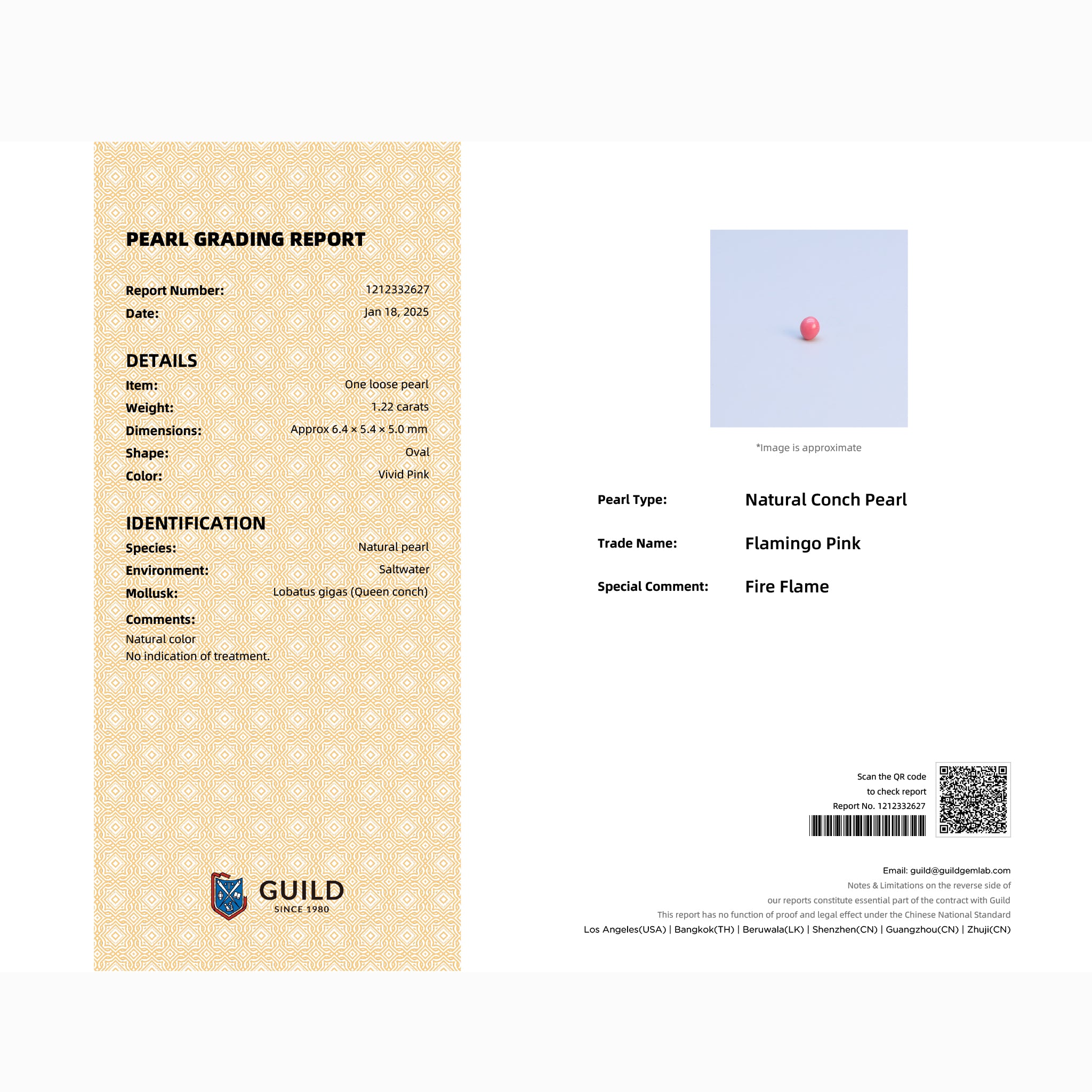GUILD Pearl Grading Report certifying 1.22ct natural Flamingo Pink conch pearl, Fire Flame, Queen Conch origin, no indication of treatment