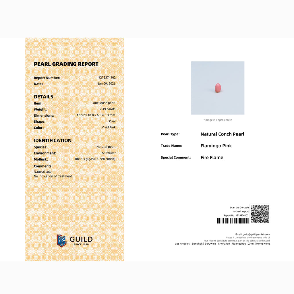 GUILD Pearl Grading Report certifying 2.49ct natural Flamingo Pink conch pearl, Fire Flame, Queen Conch origin, no indication of treatment